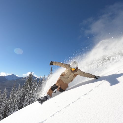 Alpine snowboarding