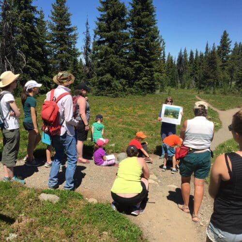 A group of people enjoying a nature walk at Manning Park. Lush forest, vibrant foliage, and a serene atmosphere create a peaceful experience.
