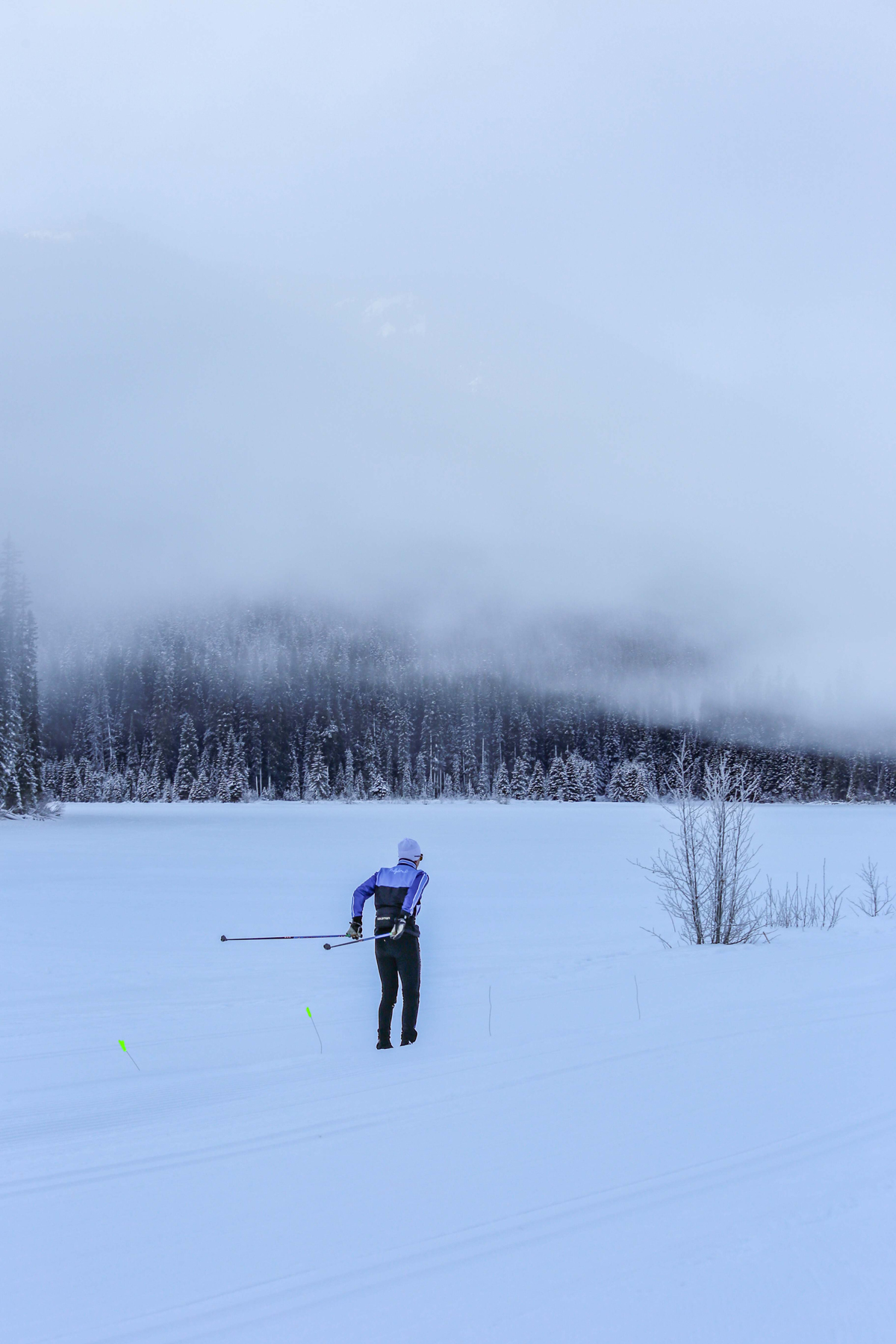 Cascade-Cup-Fog-on-Mountain-1