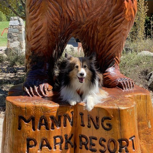 Dogs of Manning Park